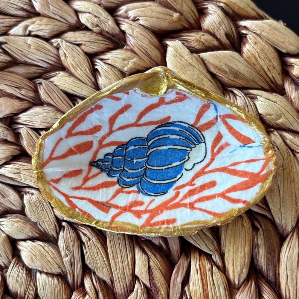 Real shell jewelry holder: blue shell red coral